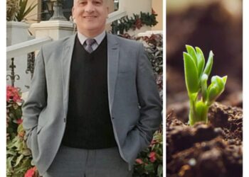 د. مجدي السماحي يكتب: النباتات تطور باستمرار