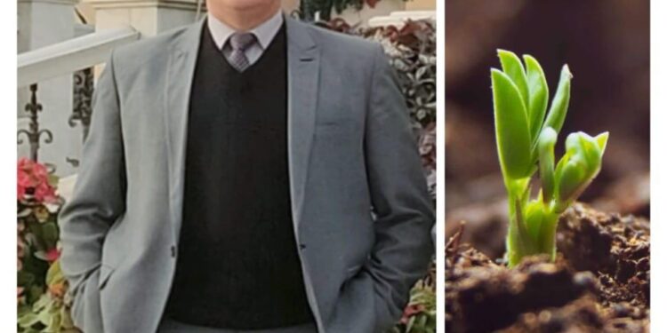 د. مجدي السماحي يكتب: النباتات تطور باستمرار د. مجدي السماحي يكتب: النباتات تطور باستمرار