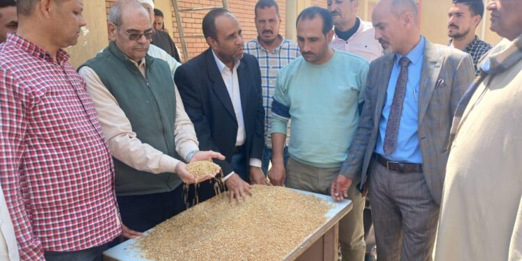 موعد توريد القمح .. التموين تبدأ استلام سنابل الذهب في 4 محافظات موعد توريد القمح