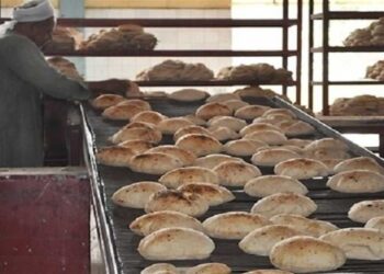 سعر الخبز السياحى