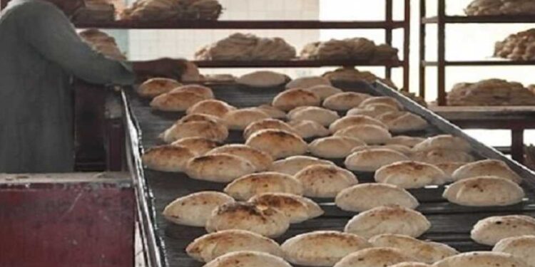 سعر الخبز السياحى