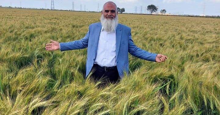 د. عبدالسلام المنشاوي يكتب.. هل منظومة الخبز المدعم مع أم ضد الأمن الغذائي للقمح المصري د. عبدالسلام المنشاوي يكتب.. هل منظومة الخبز المدعم مع أم ضد الأمن الغذائي للقمح المصري