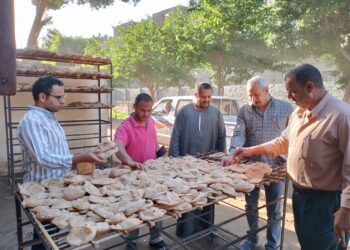 مدينة البداري