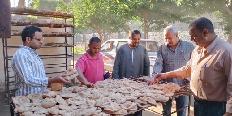مدينة البداري