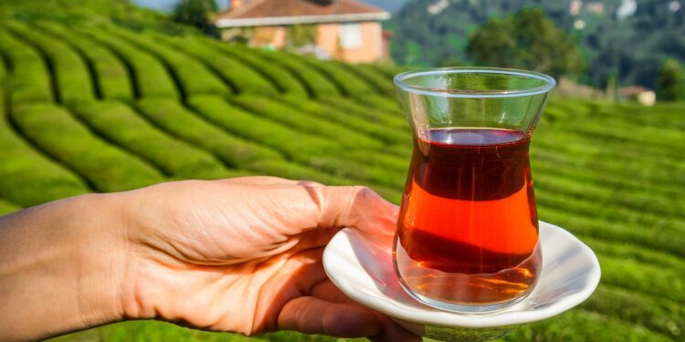 فوائد الشاى .. معهد التغذية يوجه عدة نصائح لعشاق المشروب الشعبي الشاى