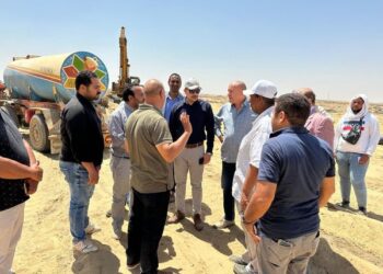 سفنكس الجديدة