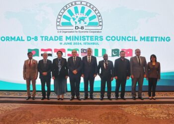 وزير التجارة يترأس أعمال الاجتماع غير الرسمي لوزراء تجارة مجموعة دول الثماني النامية