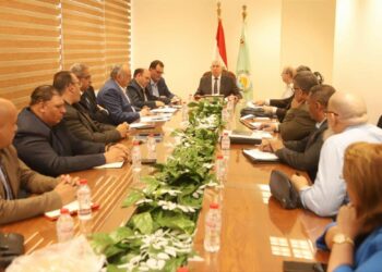 زراعة الكسافا