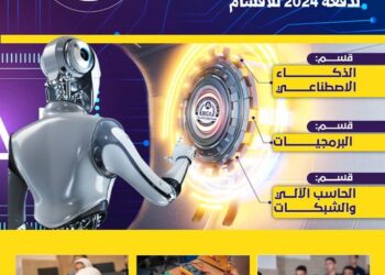 فروع أكاديمية مصر الدولية للحاسبات