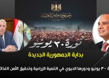 ثورة 30 يونيو