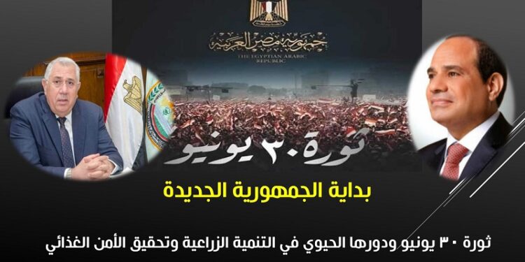 د. مجدي السماحي يكتب عن ثورة 30 يونيو ودورها في التنمية الزراعية ثورة 30 يونيو