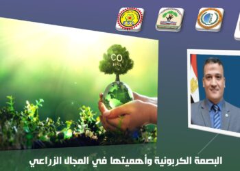 د. مجدي السماحي يكتب عن البصمة الكربونية وأهميتها في المجال الزراعي