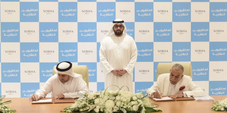 مشروع جزيرة السينية