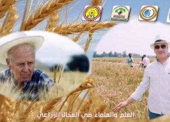 المجال الزراعي