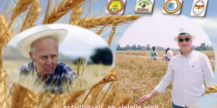 د. مجدي السماحي يكتب عن أهمية العلم والعلماء في المجال الزراعي المجال الزراعي