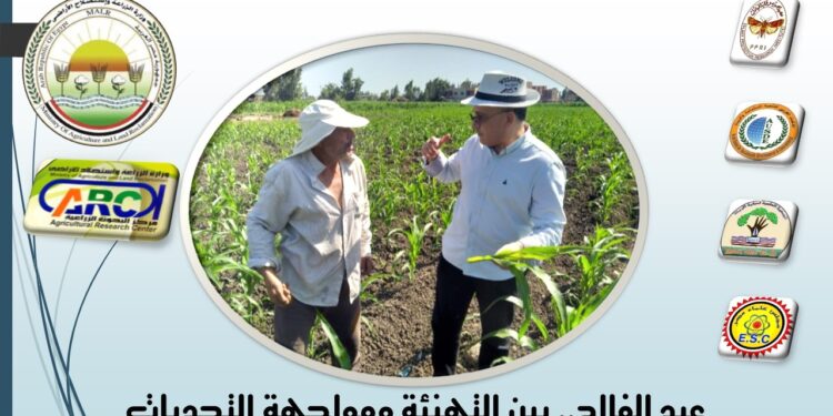 د. مجدي السماحي يكتب عن عيد الفلاح .. بين التهنئة ومواجهة التحديات عيد الفلاح