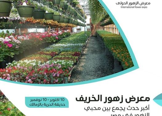 معرض زهور الخريف … م. محمد رأفت: فتح مساحات إضافية بعد زيادة طلبات العارضين معرض زهور الخريف