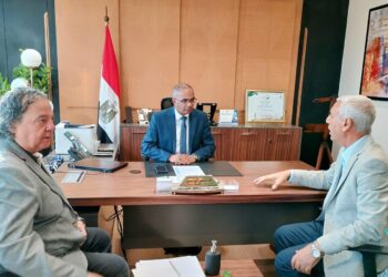 سيد إسماعيل