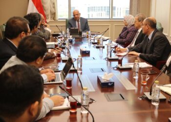 وزير الكهرباء