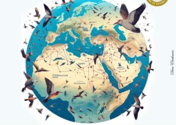 اليوم العالمى للطيور المهاجرة يسلط الضوء على علاقاتها مع الحشرات