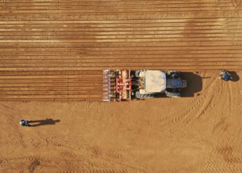 التكنولوجيا الزراعية في الإمارات