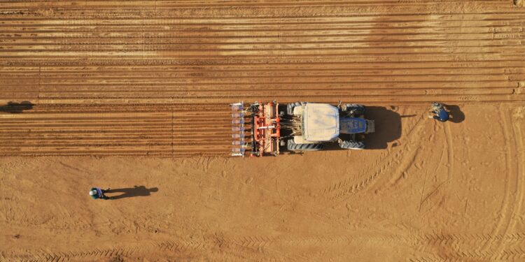 التكنولوجيا الزراعية في الإمارات.. تقنيات مبتكرة تواجه التحديات لتحقيق الأمن الغذائي التكنولوجيا الزراعية في الإمارات