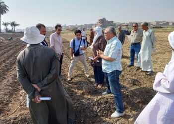 معاك فى الغيط