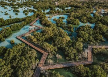 المساحات الخضراء في الإمارات