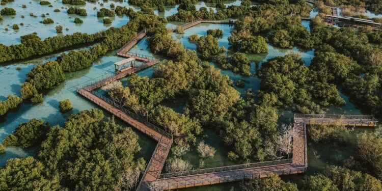 المساحات الخضراء في الإمارات.. فوائد متعددة تعزز استدامة البيئة وجودة الحياة المساحات الخضراء في الإمارات