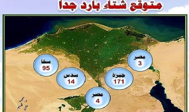 زراعة القمح 2024