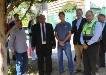 أشجار الأورمان