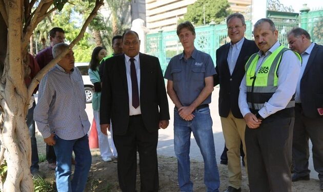 أشجار الأورمان بخير .. فريق حكومي يكشف ماحدث بها أشجار الأورمان