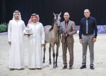 انطلاق منافسات بطولة الإمارات الوطنية لجمال الخيل العربية في أبوظبي