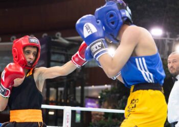 بطولة اللجنة الأولمبية القطرية للملاكمة