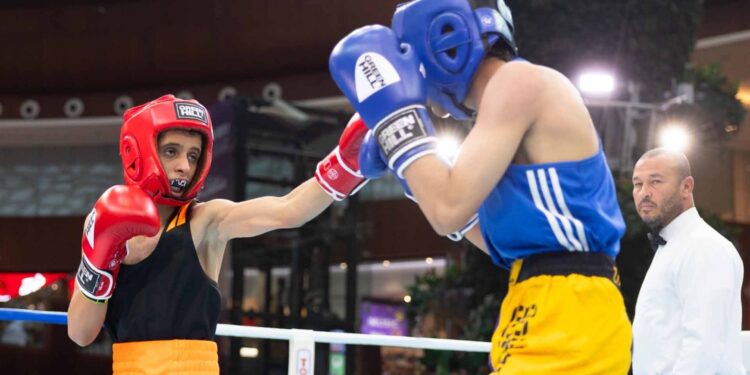 بطولة اللجنة الأولمبية القطرية للملاكمة 2024 .. نجاح باهر للنسخة الأولى بطولة اللجنة الأولمبية القطرية للملاكمة