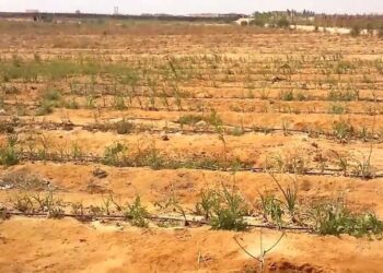 شركات بيع الاراضى الزراعيه