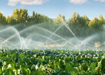 قرض الري الحديث