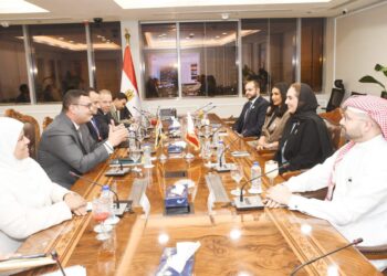 التجرية المصرية في الإسكان