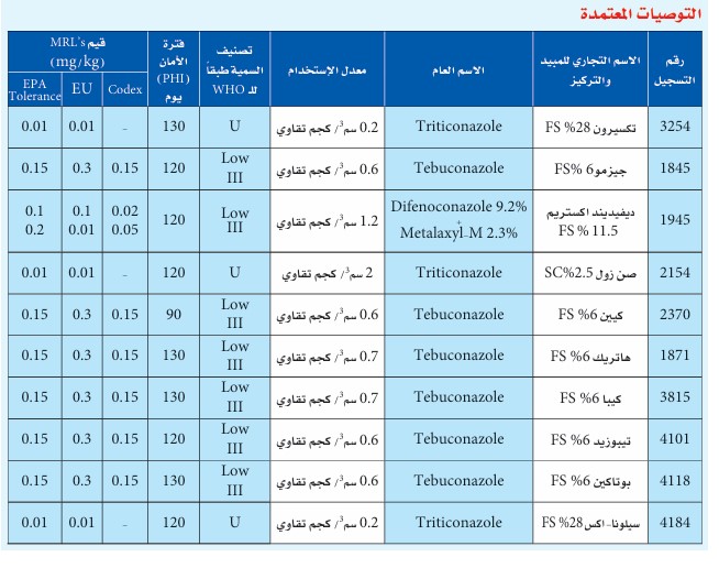 علاج التفحم السائب في القمح