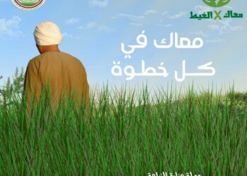 معاك في الغيط