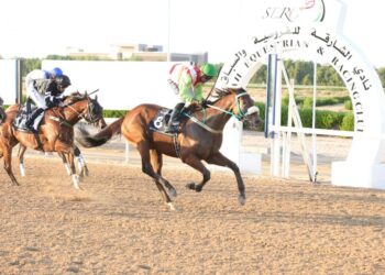 سباقات الشارقة للفروسية