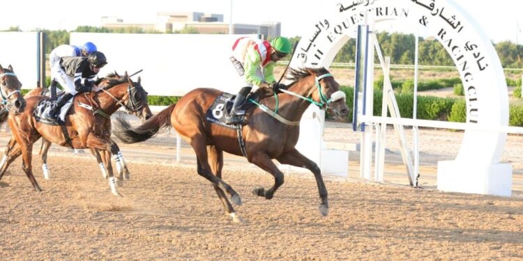 انطلاقة قوية لموسم سباقات الشارقة للفروسية سباقات الشارقة للفروسية