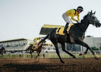 مضمار جبل علي