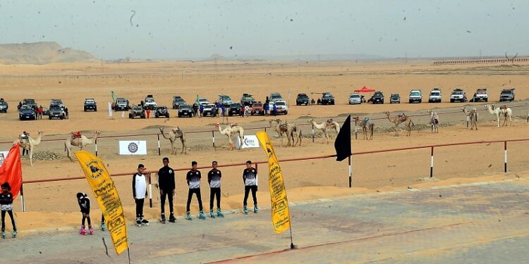 نادي الهجن والفروسية بالوادي الجديد يحظى بافتتاح عالمي