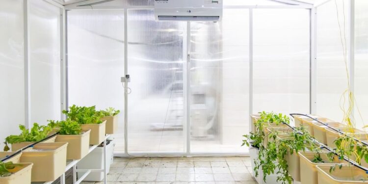 مجلس سيدات أعمال عجمان يُنجز مشروع البيت البلاستيكي الزراعي الثاني مجلس سيدات أعمال عجمان