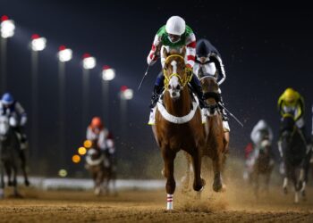 سباق كأس رئيس الدولة للخيول العربية