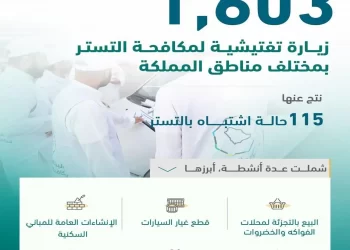 البرنامج الوطني لمكافحة التستر التجاري