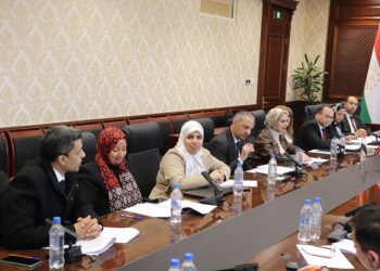 محمد المنسي