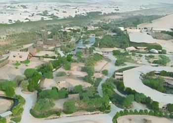 أسعار تذاكر الغابة الصغيرة في الكويت 2025