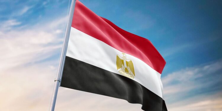 صادرات مصر الغذائية خلال 11 شهر تسجل 5.5 مليار دولار صادرات مصر الغذائية